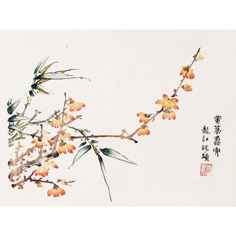 Page from Shi Zhu Zhai Orange Blossoms White Modern Wood Framed Art Print by Zhengyan, Hu