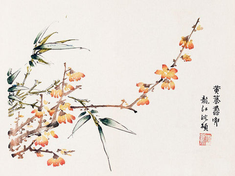 Page from Shi Zhu Zhai Orange Blossoms White Modern Wood Framed Art Print with Double Matting by Zhengyan, Hu