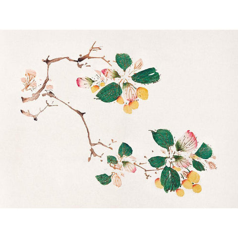 Page from Shi Zhu Zhai Golden Fruit White Modern Wood Framed Art Print by Zhengyan, Hu