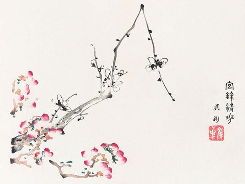 Page from Shi Zhu Zhai Pink Flowers White Modern Wood Framed Art Print with Double Matting by Zhengyan, Hu