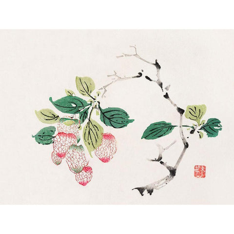 Page from Shi Zhu Zhai Red Fruit Bunch White Modern Wood Framed Art Print by Zhengyan, Hu