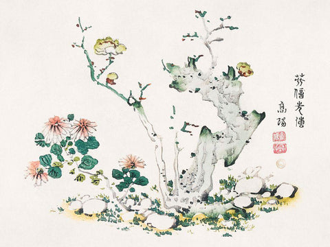 Page from Shi Zhu Zhai Tree with Blossom Black Ornate Wood Framed Art Print with Double Matting by Zhengyan, Hu