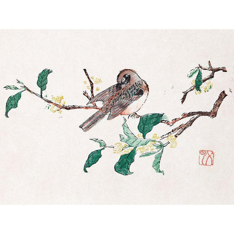 Page from Shi Zhu Zhai Preening Bird Black Modern Wood Framed Art Print with Double Matting by Zhengyan, Hu