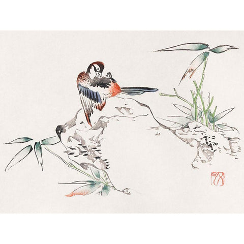 Page from Shi Zhu Zhai Bird on Rock Black Modern Wood Framed Art Print with Double Matting by Zhengyan, Hu