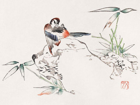 Page from Shi Zhu Zhai Bird on Rock White Modern Wood Framed Art Print with Double Matting by Zhengyan, Hu