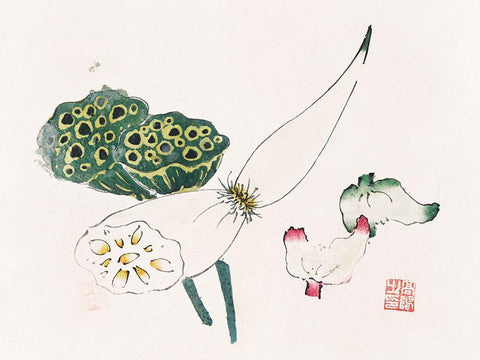 Page from Shi Zhu Zhai Green Seed Pods White Modern Wood Framed Art Print with Double Matting by Zhengyan, Hu