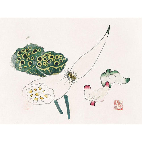 Page from Shi Zhu Zhai Green Seed Pods White Modern Wood Framed Art Print by Zhengyan, Hu