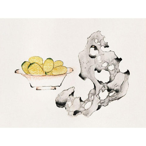 Page from Shi Zhu Zhai Fruit Bowl Gold Ornate Wood Framed Art Print with Double Matting by Zhengyan, Hu