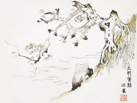 Page from Shi Zhu Zhai Tree in Landscape White Modern Wood Framed Art Print with Double Matting by Zhengyan, Hu