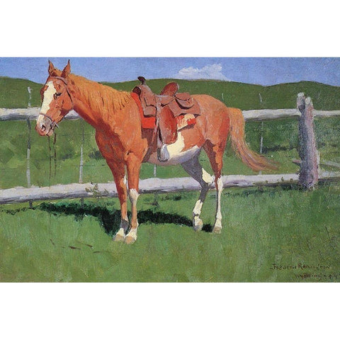 Horse Study-Wyoming Black Modern Wood Framed Art Print with Double Matting by Remington, Frederic