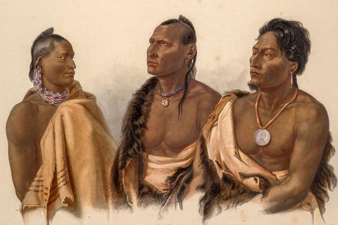 Missouria Indian-Otoe Indian and Puncas Chief White Modern Wood Framed Art Print with Double Matting by Bodmer, Karl