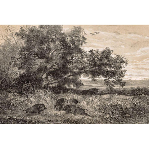 Wild Boar in a Pond Gold Ornate Wood Framed Art Print with Double Matting by Bodmer, Karl