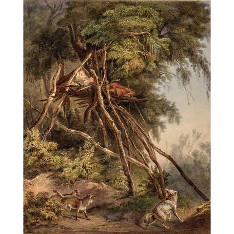 Tombs of Assiniboin indians on trees Gold Ornate Wood Framed Art Print with Double Matting by Bodmer, Karl