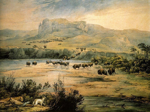 Landscape with buffalo on the upper Missouri Black Ornate Wood Framed Art Print with Double Matting by Bodmer, Karl