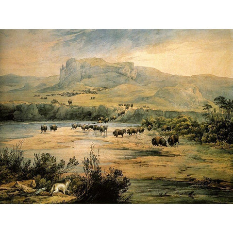 Landscape with buffalo on the upper Missouri Black Modern Wood Framed Art Print with Double Matting by Bodmer, Karl