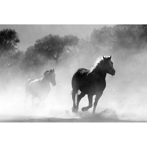 Free Runners Black Modern Wood Framed Art Print with Double Matting by The Yellowstone Collection