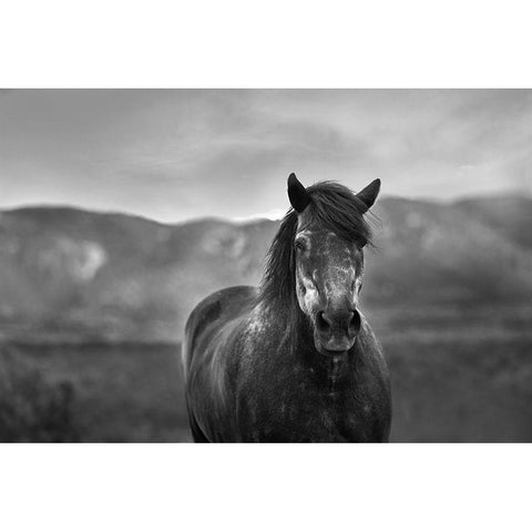 Gray Day Black Modern Wood Framed Art Print with Double Matting by The Yellowstone Collection