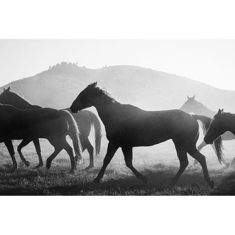 Heading Home Black Modern Wood Framed Art Print with Double Matting by The Yellowstone Collection