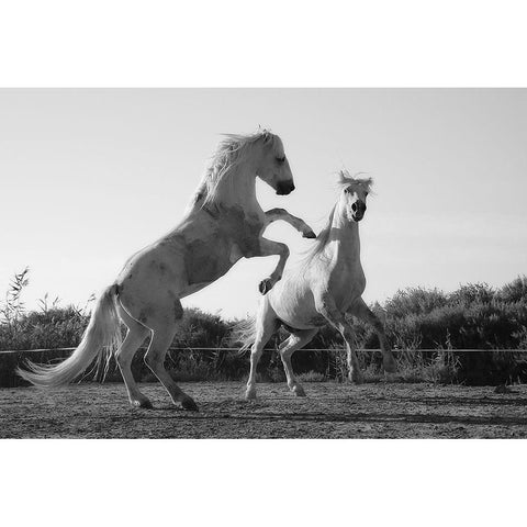 Horse Dance Gold Ornate Wood Framed Art Print with Double Matting by The Yellowstone Collection