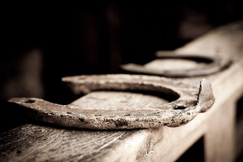 Horseshoes Sepia Black Ornate Wood Framed Art Print with Double Matting by The Yellowstone Collection