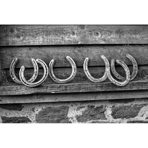 Horseshoes White Modern Wood Framed Art Print by The Yellowstone Collection