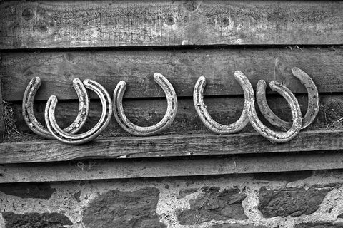 Horseshoes Black Ornate Wood Framed Art Print with Double Matting by The Yellowstone Collection