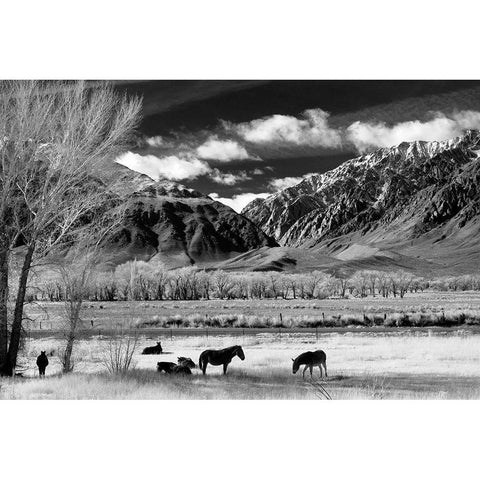 In the Shadow of the Mountain Range Gold Ornate Wood Framed Art Print with Double Matting by The Yellowstone Collection