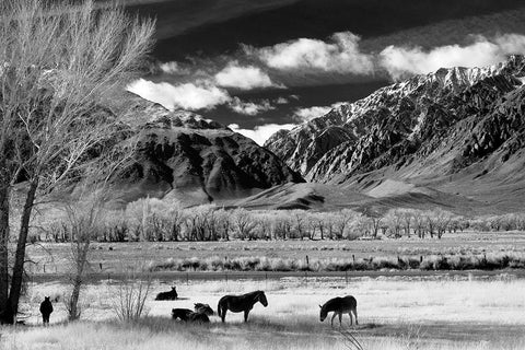 In the Shadow of the Mountain Range Black Ornate Wood Framed Art Print with Double Matting by The Yellowstone Collection