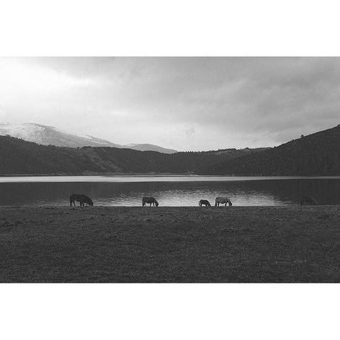 Lakeside Grazing Gold Ornate Wood Framed Art Print with Double Matting by The Yellowstone Collection