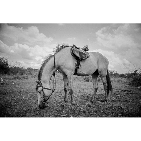 Lunch break Black Modern Wood Framed Art Print with Double Matting by The Yellowstone Collection