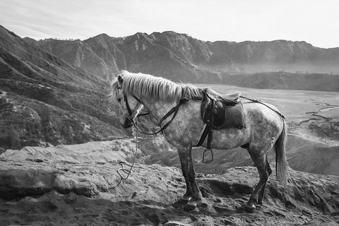 Mountain Rest Stop White Modern Wood Framed Art Print with Double Matting by The Yellowstone Collection