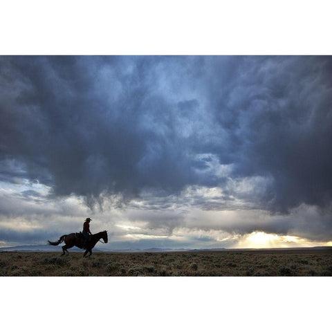 Plains Rider Black Modern Wood Framed Art Print with Double Matting by The Yellowstone Collection