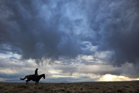 Plains Rider White Modern Wood Framed Art Print with Double Matting by The Yellowstone Collection