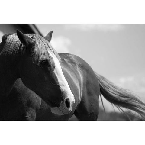 Ready to Ride Gold Ornate Wood Framed Art Print with Double Matting by The Yellowstone Collection