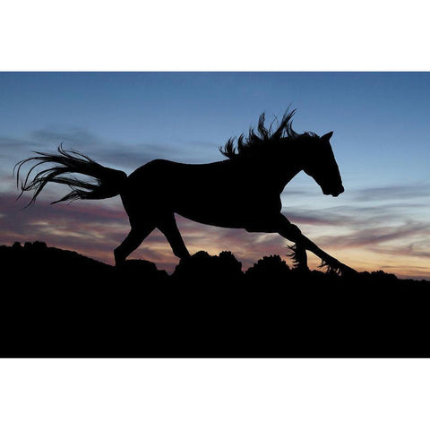 Shadow Gallop Black Modern Wood Framed Art Print with Double Matting by The Yellowstone Collection