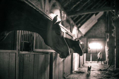 Stable Gossip Black Ornate Wood Framed Art Print with Double Matting by The Yellowstone Collection