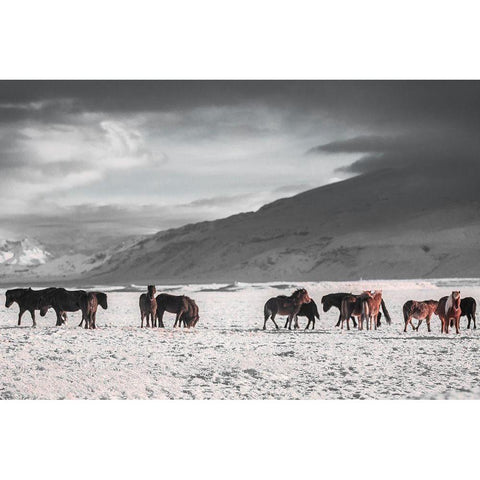 The Frozen Plain Black Modern Wood Framed Art Print with Double Matting by The Yellowstone Collection