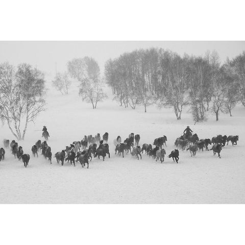 Winter Round Up Black Modern Wood Framed Art Print with Double Matting by The Yellowstone Collection