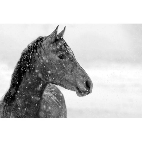 Winter Snow Gold Ornate Wood Framed Art Print with Double Matting by The Yellowstone Collection