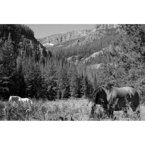 Younts Peak, Cody, Wyoming Black Modern Wood Framed Art Print with Double Matting by The Yellowstone Collection