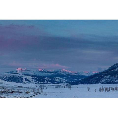 Alpenglow, Lamar Valley, Yellowstone National Park Black Modern Wood Framed Art Print with Double Matting by Herbert, Neal