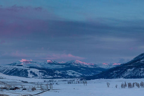 Alpenglow, Lamar Valley, Yellowstone National Park White Modern Wood Framed Art Print with Double Matting by Herbert, Neal