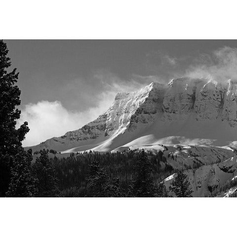 Amphitheater Mountain, Yellowstone National Park Black Modern Wood Framed Art Print with Double Matting by Peaco, Jim