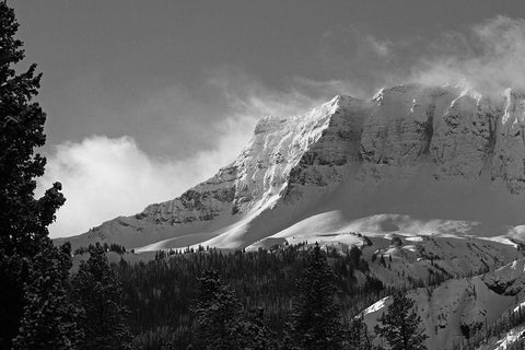 Amphitheater Mountain, Yellowstone National Park White Modern Wood Framed Art Print with Double Matting by Peaco, Jim