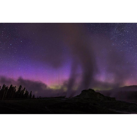 Aurora borealis I, Upper Geyser Basin, Yellowstone National Park Gold Ornate Wood Framed Art Print with Double Matting by The Yellowstone Collection