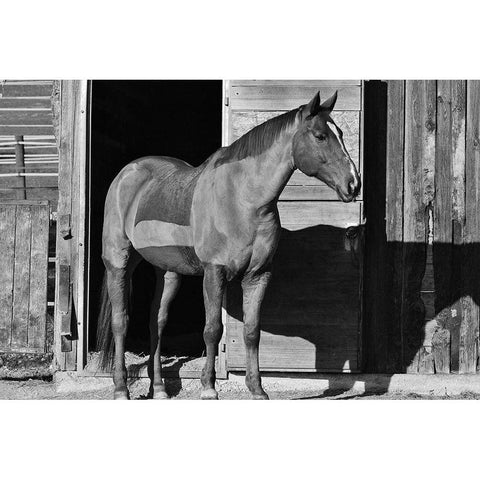 Afternoon Shadow Black Modern Wood Framed Art Print with Double Matting by The Yellowstone Collection