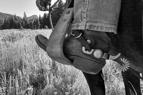 Boots in a stirrup White Modern Wood Framed Art Print with Double Matting by The Yellowstone Collection