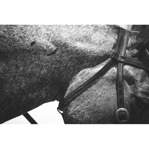 Bridle Black Modern Wood Framed Art Print by The Yellowstone Collection