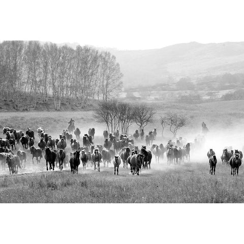 Bringing in the Horse Herd Black Modern Wood Framed Art Print with Double Matting by The Yellowstone Collection