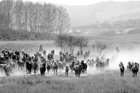 Bringing in the Horse Herd White Modern Wood Framed Art Print with Double Matting by The Yellowstone Collection